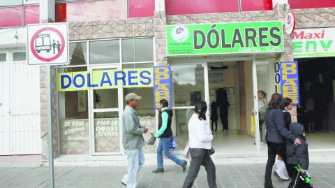 Descripción automática