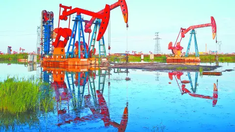 Descripción automática