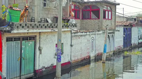 Descripción automática