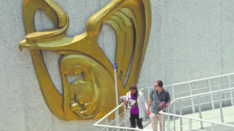 Descripción automática