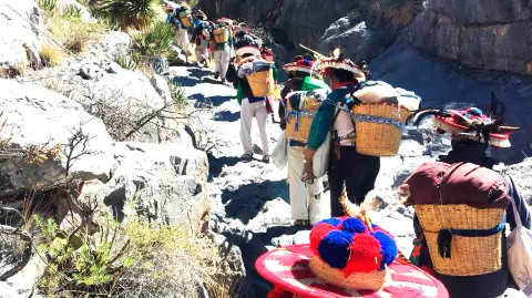 Ascendiendo a Wirikuta.