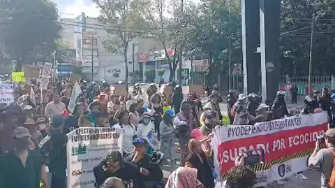 Con consignas como: "vivienda para vivir, no para invertir", "no somos hostal, somos barrio ancestral" y "los gringos gentrifican y el gobierno patrocina"; las y los manifestantes, en su mayoría jóvenes, partieron después de las 3:30 pm de la estación del Metrobús Fuentes Brotantes con destino hacia El Caminero.

Para más información del tema, visita: https://www.eleconomista.com.mx/politica/marchan-decenas-personas-gentrificacion-zona-sur-ciudad-mexico-20250720-768968.html 

¡Síguenos en nuestras redes sociales para mantenerte informado!

Twitter: https://twitter.com/eleconomista 
Facebook: https://www.facebook.com/ElEconomista.mx
Instagram: https://www.instagram.com/eleconomistamx
LinkedIn: https://www.linkedin.com/company/el-economista/

#ElEconomista #EETV #Gentrificación