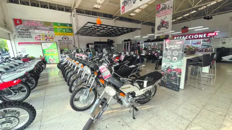 Descripción automática