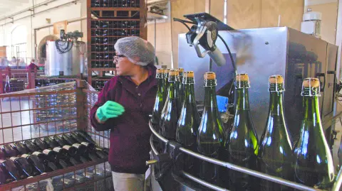 Descripción automática