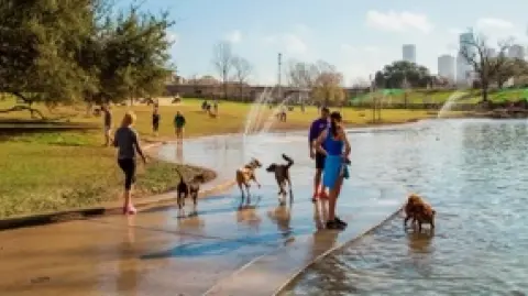 Houston está trabajando en la estrategia de ser un destino pet-friendly.
