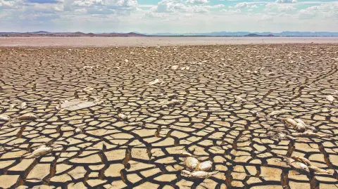 Descripción automática