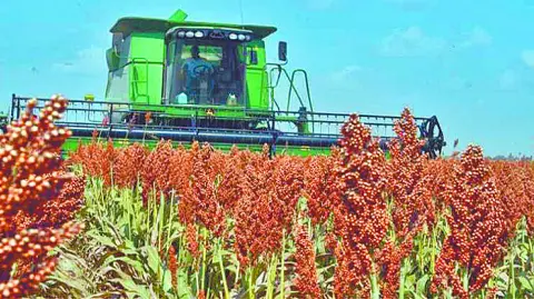 Descripción automática