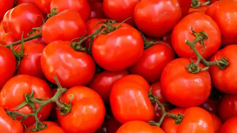 Tomate bola, cherry y saladette: los tres jitomates mexicanos más consumidos en Estados Unidos. Se cultivan en Sinaloa, Jalisco y Sonora y son clave en la dieta y economía binacional.

Para más información del tema, visita: https://www.eleconomista.com.mx/bistronomie/jitomates-mexicanos-comen-estados-unidos-tres-favoritos-20250723-769311.html

¡Síguenos en nuestras redes sociales para mantenerte informado!

Twitter: https://twitter.com/eleconomista 
Facebook: https://www.facebook.com/ElEconomista.mx
Instagram: https://www.instagram.com/eleconomistamx
LinkedIn: https://www.linkedin.com/company/el-economista/

#ElEconomista #EETV #Jitomate
