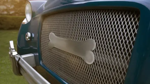 Carroza Hueso diseñada para transportar a las mascotas desde el domicilio hasta alguno de los santuarios.