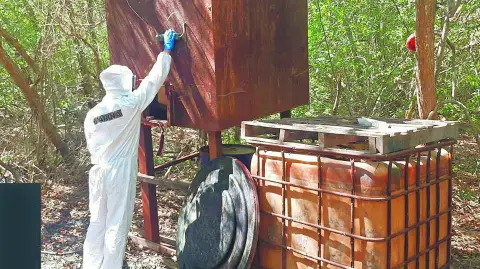 Descripción automática