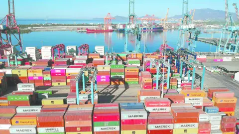 Descripción automática