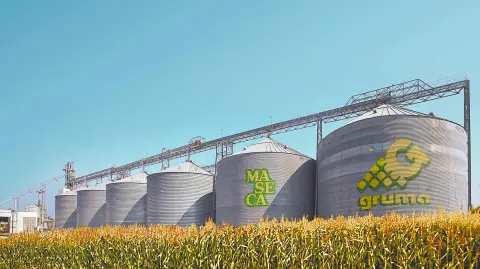 Descripción automática