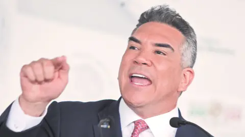 Descripción automática