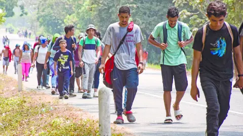 Descripción automática