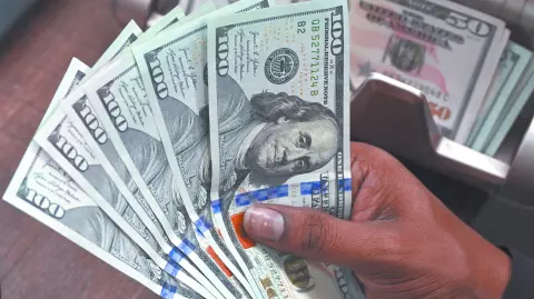 Descripción automática