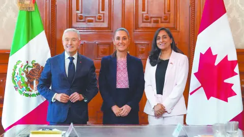 Descripción automática