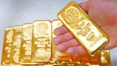 Descripción automática