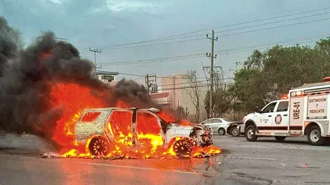 Descripción automática