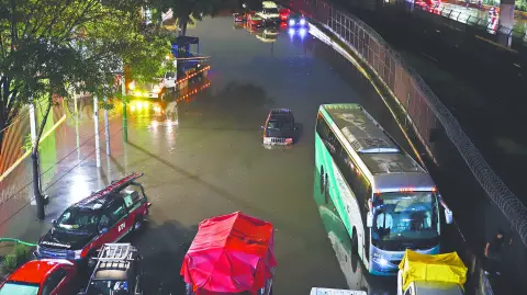 Descripción automática