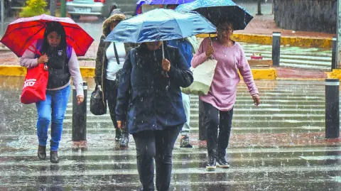 La precipitación del fin del semana en el centro de la Ciudad de México superó los registros desde 1952; Brugada reitera que se ha invertido 1,500 mdp para afrontar la lluvias torrenciales.

Para más información del tema, visita: https://www.eleconomista.com.mx/politica/lluvias-ponen-jaque-infraestructura-cdmx-20250812-772335.html

¡Síguenos en nuestras redes sociales para mantenerte informado!

Twitter: https://twitter.com/eleconomista 
Facebook: https://www.facebook.com/ElEconomista.mx
Instagram: https://www.instagram.com/eleconomistamx
LinkedIn: https://www.linkedin.com/company/el-economista/

#ElEconomista #EETV