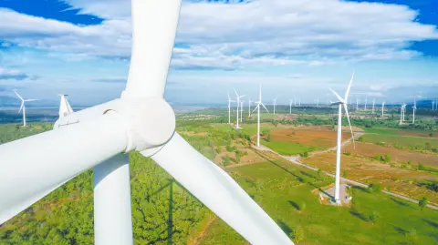 Descripción automática