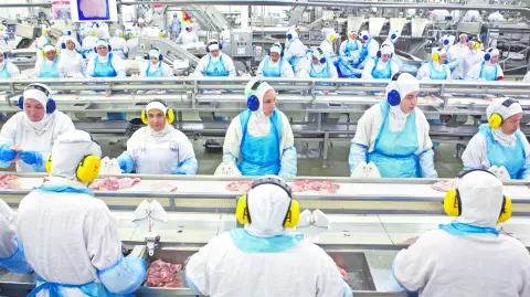 Descripción automática