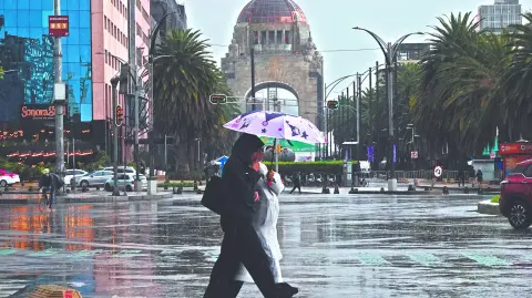 Descripción automática