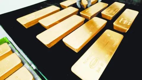 Descripción automática