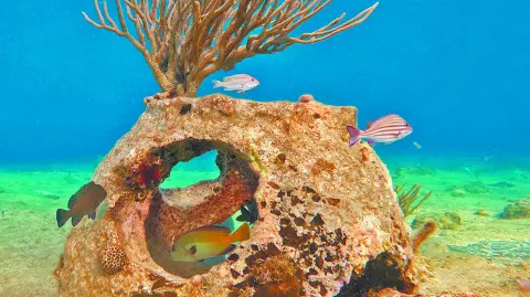 Descripción automática