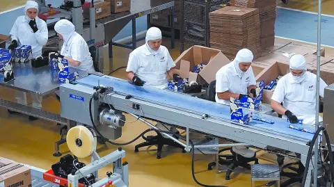 Descripción automática