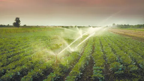 Descripción automática