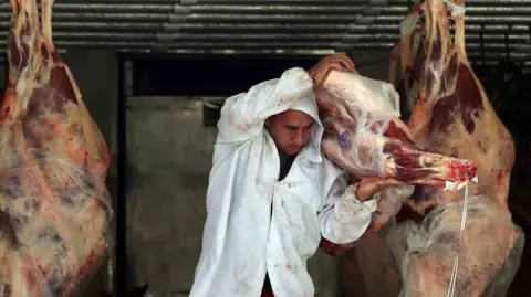 La imposición de aranceles por parte a la carne de res brasileña frenó los envíos a Estados Unidos. Del 1 al 25 de agosto, Brasil exportó 10,200 toneladas a México. 

Para más información del tema, visita: https://www.eleconomista.com.mx/empresas/mexico-supera-eu-convierte-segundo-mayor-importador-carne-res-brasilena-abiec-20250827-774529.html

¡Síguenos en nuestras redes sociales para mantenerte informado!

Twitter: https://twitter.com/eleconomista
Facebook: https://www.facebook.com/ElEconomista.mx
Instagram: https://www.instagram.com/eleconomistamx
LinkedIn: https://www.linkedin.com/company/el-economista/

#ElEconomista #EETV