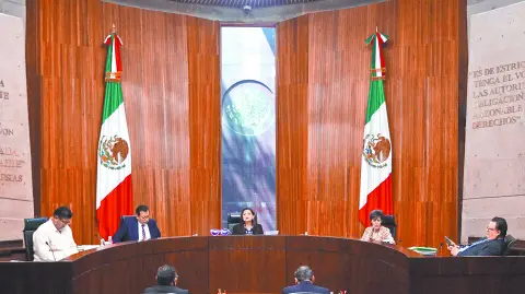 Descripción automática