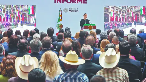 Descripción automática