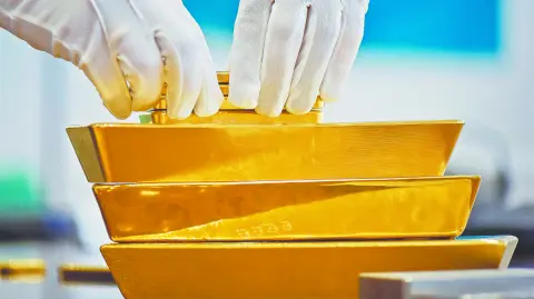 Descripción automática