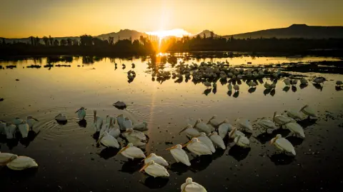 Foto: https://altepetl.cdmx.gob.mx/