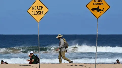 La policía cree que la víctima sufrió el ataque de un "gran tiburón" porque la tabla de surf quedó partida en dos.

Para más información del tema, visita: https://www.eleconomista.com.mx/internacionales/tiburon-mata-surfista-playa-australia-20250906-776054.html 

¡Síguenos en nuestras redes sociales para mantenerte informado!

Twitter: https://twitter.com/eleconomista 
Facebook: https://www.facebook.com/ElEconomista.mx
Instagram: https://www.instagram.com/eleconomistamx
LinkedIn: https://www.linkedin.com/company/el-economista/

#ElEconomista #EETV #Australia