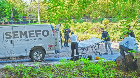 Descripción automática