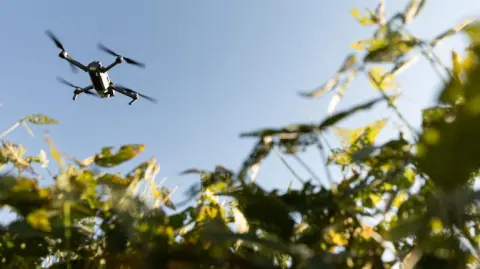 Medio centenar de países miembros de la ONU manifestaron su inquietud por las recientes incursiones de drones rusos en el espacio aéreo de Polonia.

Para más información del tema, visita: https://www.eleconomista.com.mx/internacionales/cerca-50-paises-denuncian-gran-preocupacion-drones-rusos-polonia-20250912-777018.html

¡Síguenos en nuestras redes sociales para mantenerte informado!

Twitter: https://twitter.com/eleconomista 
Facebook: https://www.facebook.com/ElEconomista.mx
Instagram: https://www.instagram.com/eleconomistamx
LinkedIn: https://www.linkedin.com/company/el-economista/
T

#ElEconomista #EETV