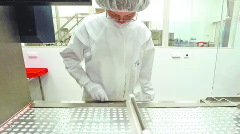 Descripción automática