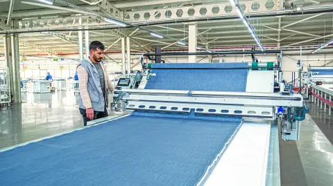 Descripción automática