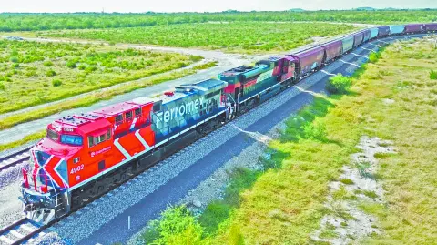 Descripción automática