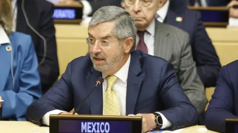 Juan Ramón de la Fuente, canciller mexicano.