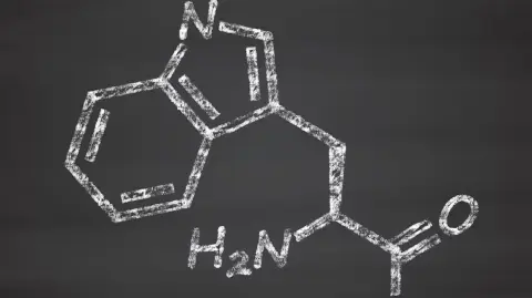 Representación de una molécula de triptófano.