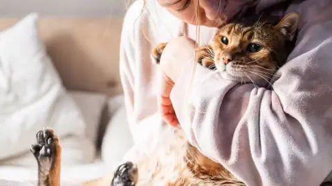 ¿Está aumentando el nivel de oxitocina en sus cerebros?