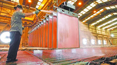 Descripción automática