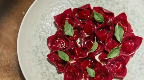 Fiori rellenos de Pappa al Pomodoro