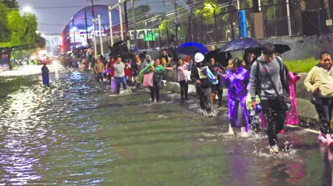 Descripción automática