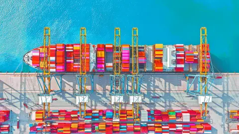 La OMC considera que los flujos globales de bienes y servicios podrían crecer 40% si se cierran las brechas digitales