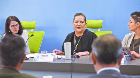 Descripción automática